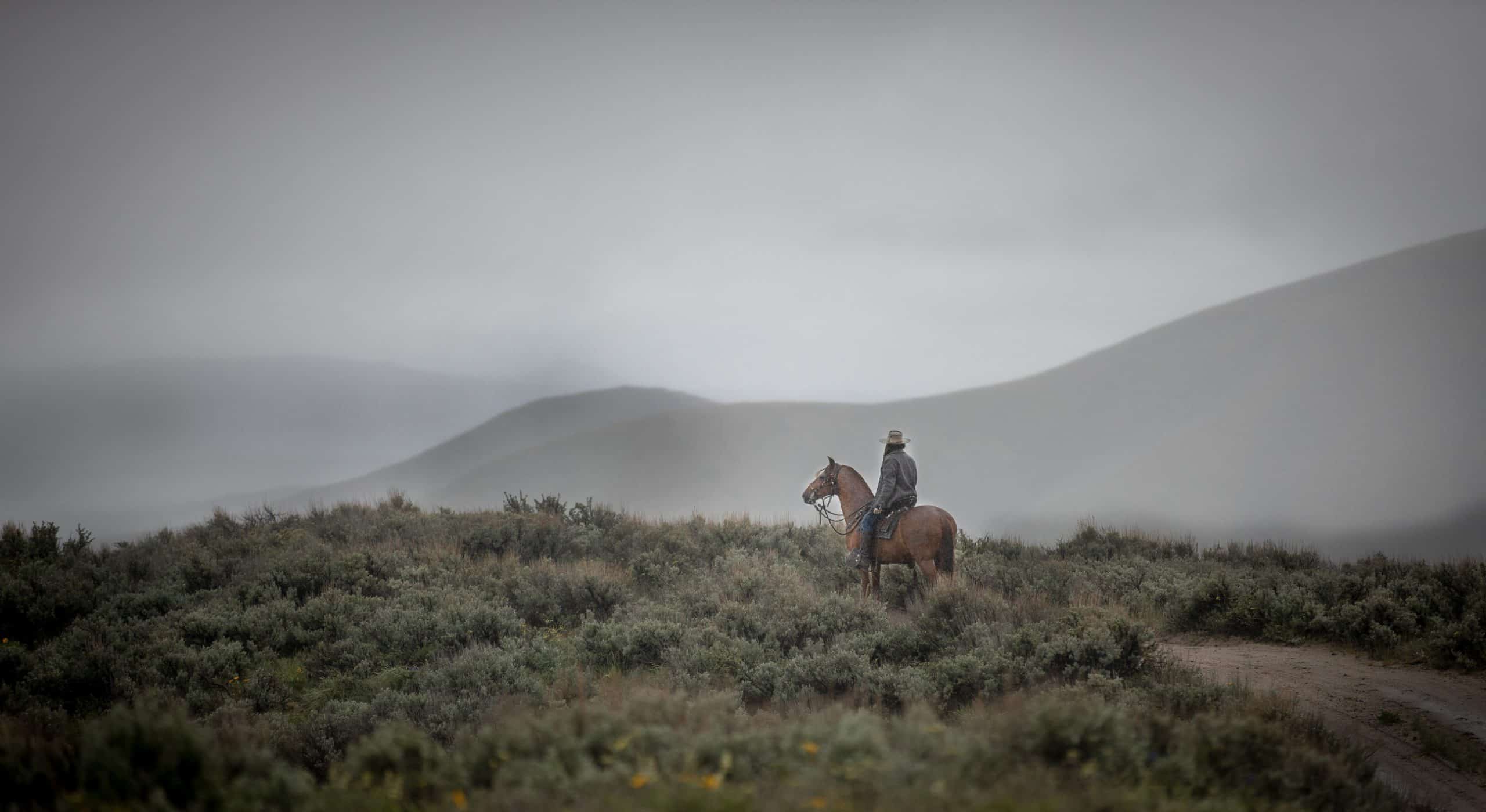 Los Amigos Peruvian Paso Club